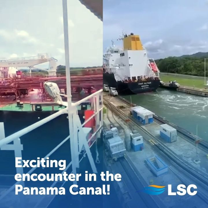 What an exciting encounter! Yesterday, our very own Uzava greeted Vivit Altais as the…