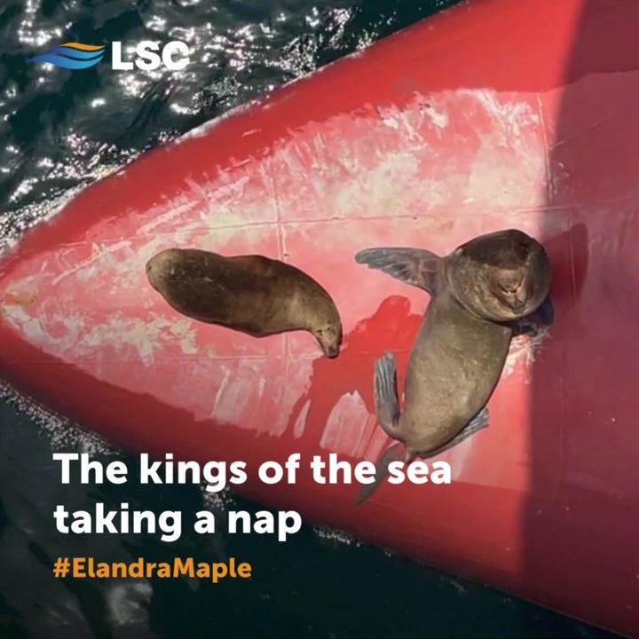 Working on a ship is truly unique. Where else are you going to see…