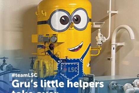 Looks like there’s a new #teamLSC member on the Elandra Redwood. He’s adorable, yellow,… Looks like there’s a new #teamLSC member on the Elandra Redwood. He’s adorable, yellow,…