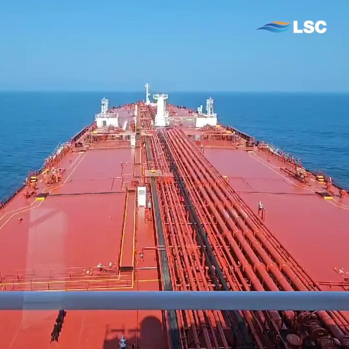 It’s been over a week since we welcomed Elandra Tern to the LSC family… It’s been over a week since we welcomed Elandra Tern to the LSC family…