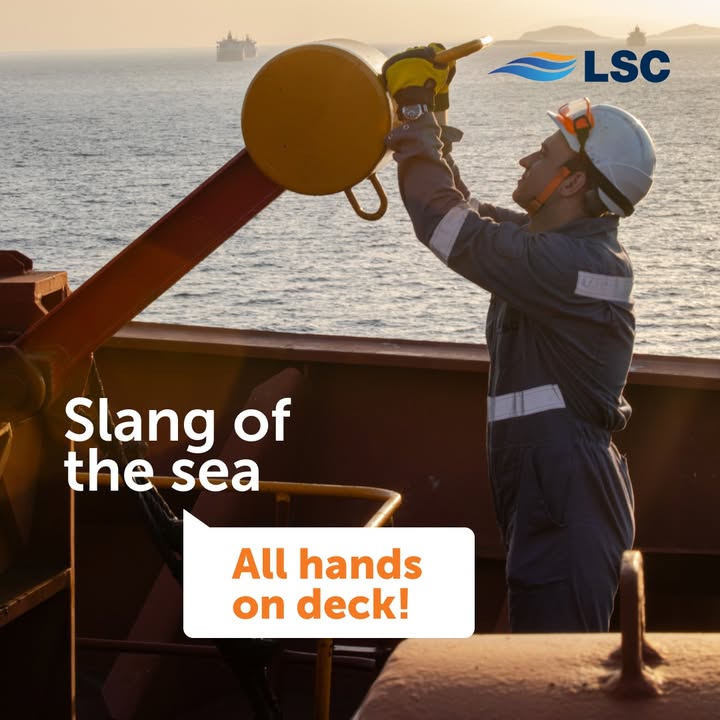 You probably have heard the phrase “All hands on deck”! ‍️ Did you know…