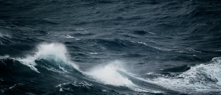 #teamLSC—more than just great sailors, they’re storytellers, creators, and visionaries. Step aboard Elandra Tern…